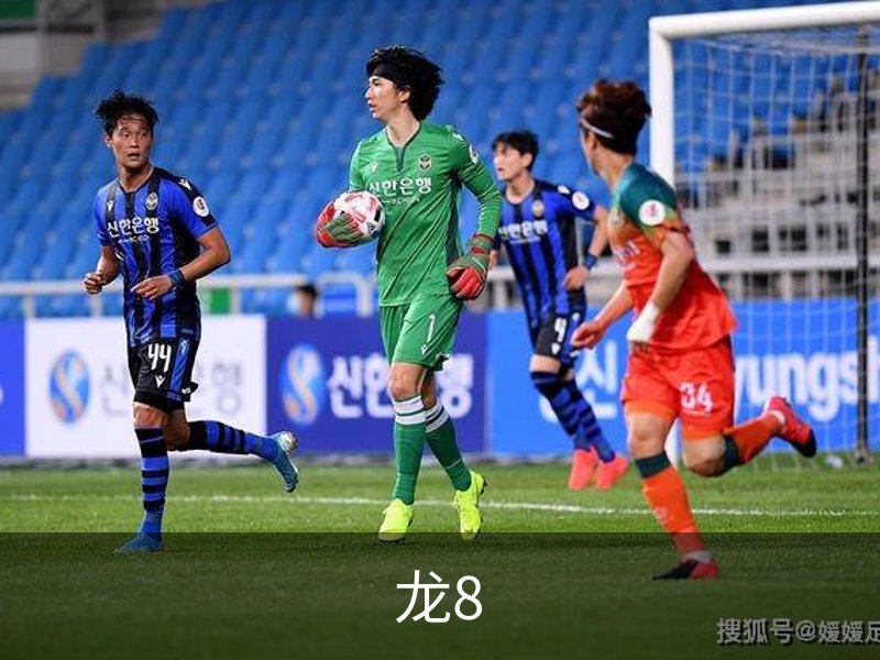 关于龙8